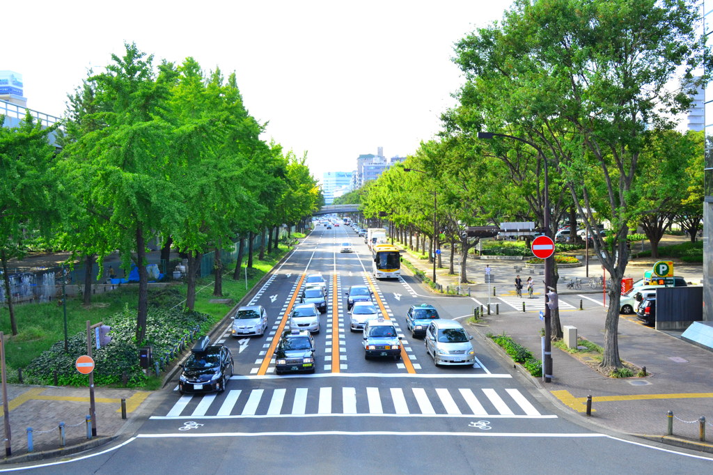 横断歩道