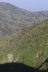 西に目を向けて２（弥彦山山頂）