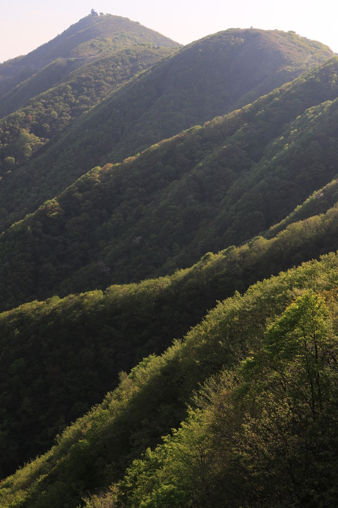 ひかり輝く尾根（弥彦山山頂）