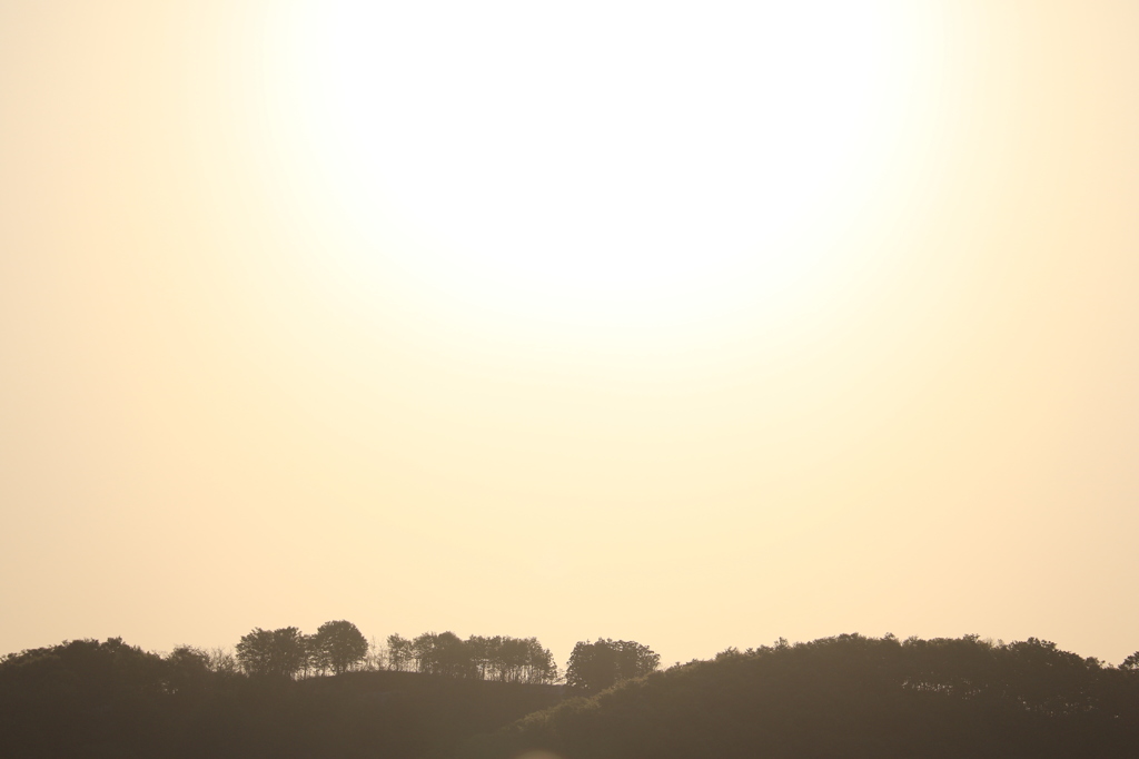 偉大な朝日（長岡 山古志）