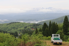 じっと待つ（長岡　八方台）