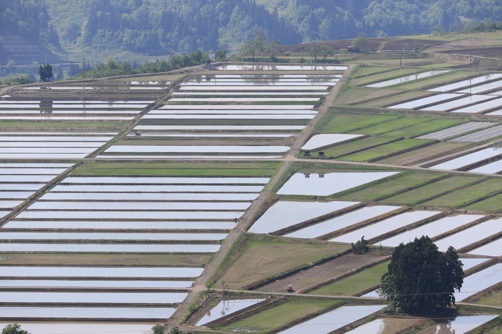 人工的な風景でも…（小千谷　山本山頂上）