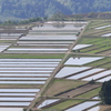 人工的な風景でも…（小千谷　山本山頂上）