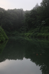 錦鯉の里山（長岡・小千谷・十日町）