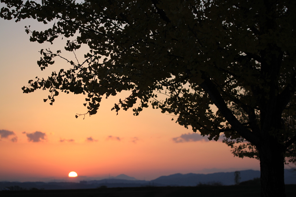 夕日にさよなら（長岡）