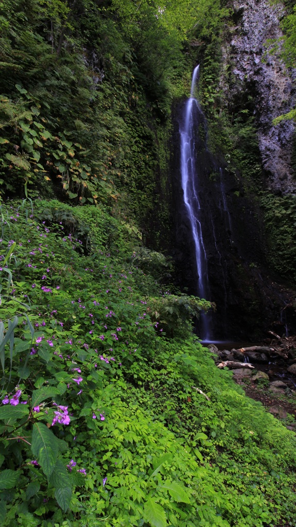 ツリフネソウの舞（善根の滝）