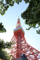色あせない光景に…（東京タワー）