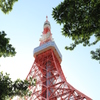 色あせない光景に…（東京タワー）