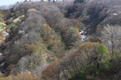 雪解けの輝き（八方台）