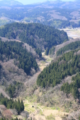 春の風（柏崎）