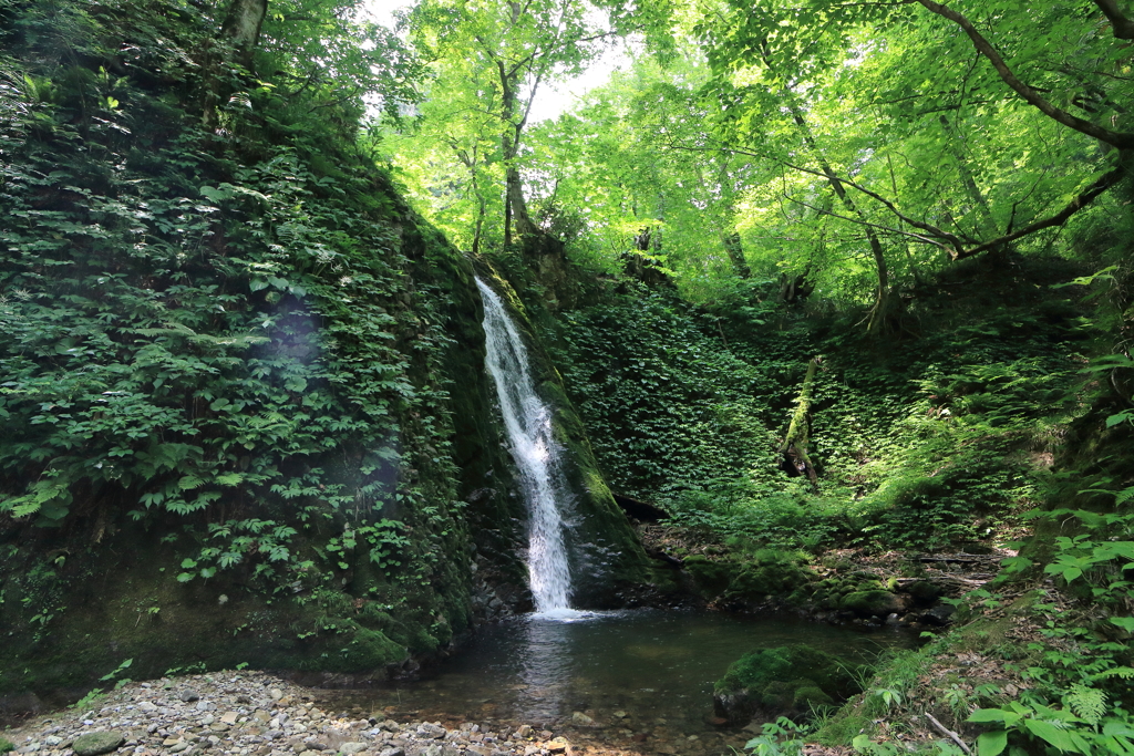 【登山日誌:台倉山170624】立夏のお不動様