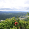 【登山日誌:袴腰山170604】赤いツツジヶ丘