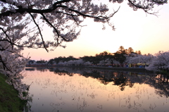 さくら色の庭園（高田）