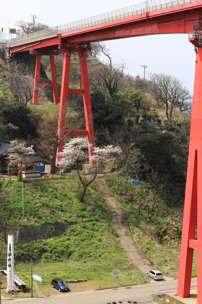 大きな鳥居に囲まれて（柏崎）