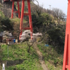 大きな鳥居に囲まれて（柏崎）