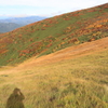 【魚沼市　浅草岳】草紅葉と浅草岳とわたくし…