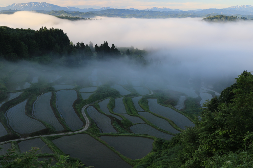 ※風立ちぬ谷（小千谷　岩沢）