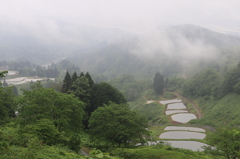 マイ・スポット（小千谷　小栗山）