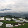 秋の気配（山古志）