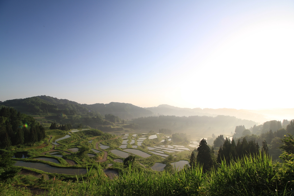 棚田の早朝（高柳　星峠）