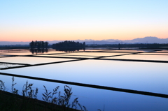 【長岡　中之島】曙の水鏡