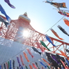 【登山日誌：東京タワー170430】333匹の鯉たちと一緒に…