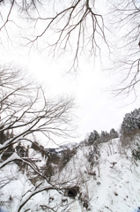 トンネルの向こうは（蓬平）