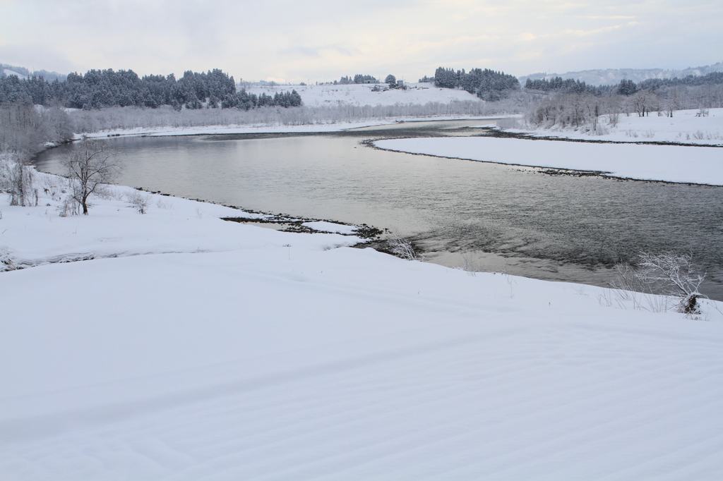 心温まる白雪（小千谷）