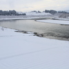心温まる白雪（小千谷）