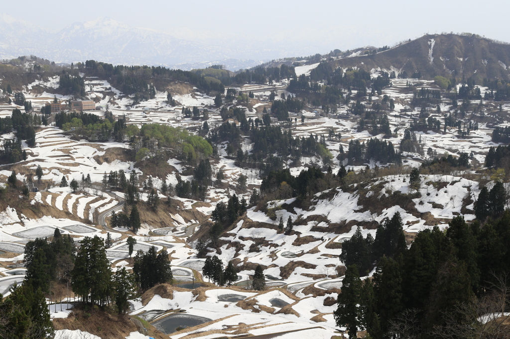 雪棚田（山古志）