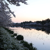 さくら劇場の始まり（高田公園）