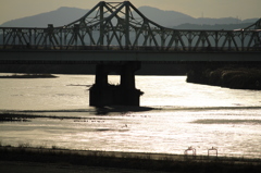 優しく暖かい淀みで（長岡）