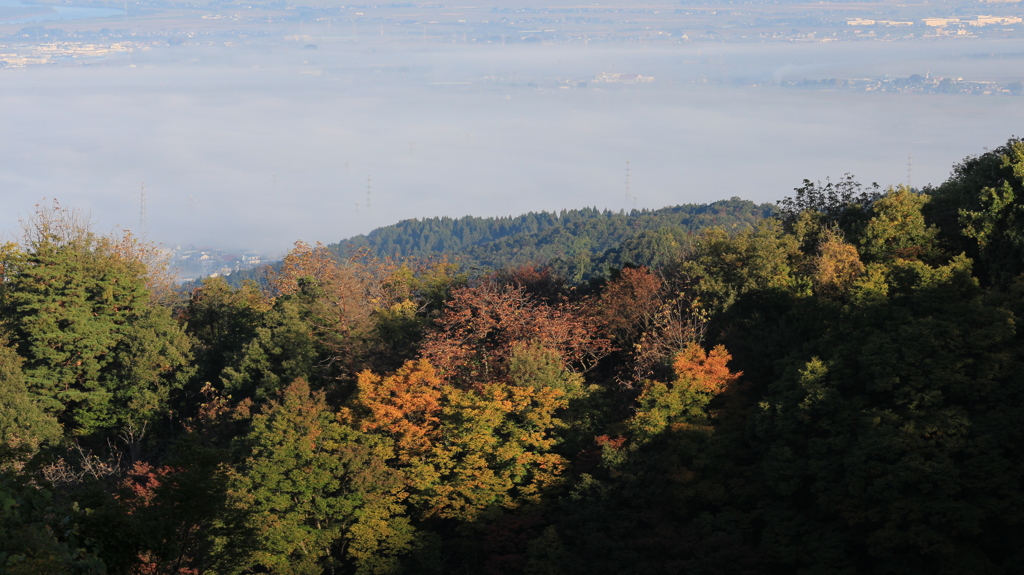 霧の紅葉（八方台）