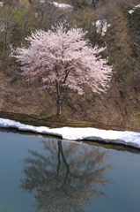 来年の面影（山古志）