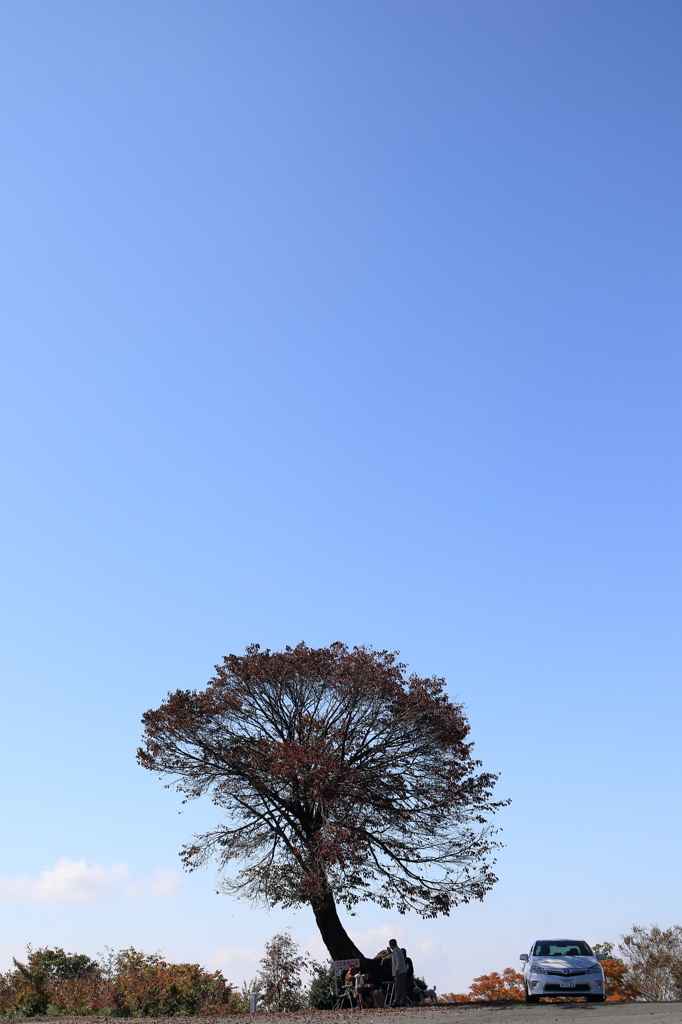 【長岡　八方台頂上】青い空、赤い紅葉、白い車、そして…