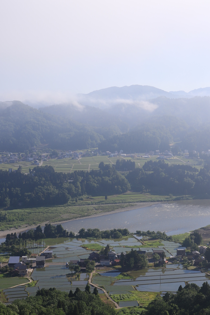 水無月の田園（小千谷　山本山）