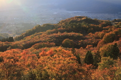 ひかり、紅葉に降り注ぐ（魚沼スカイライン）