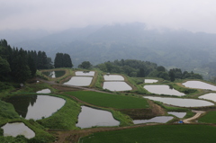 定番撮影②（長岡　山古志）