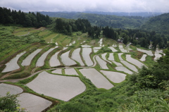 杜の棚田（小千谷　岩沢）