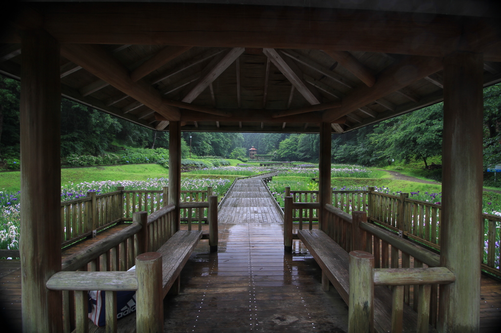 雨宿り（三条）
