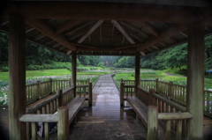 雨宿り（三条）