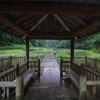雨宿り（三条）
