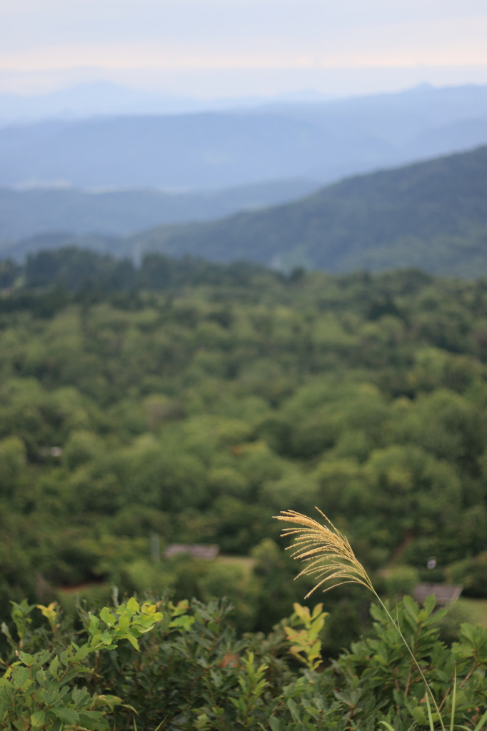 秋の気配（長岡　八方台山頂）