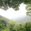 【登山日誌:護摩堂山170702】雨の丘より…