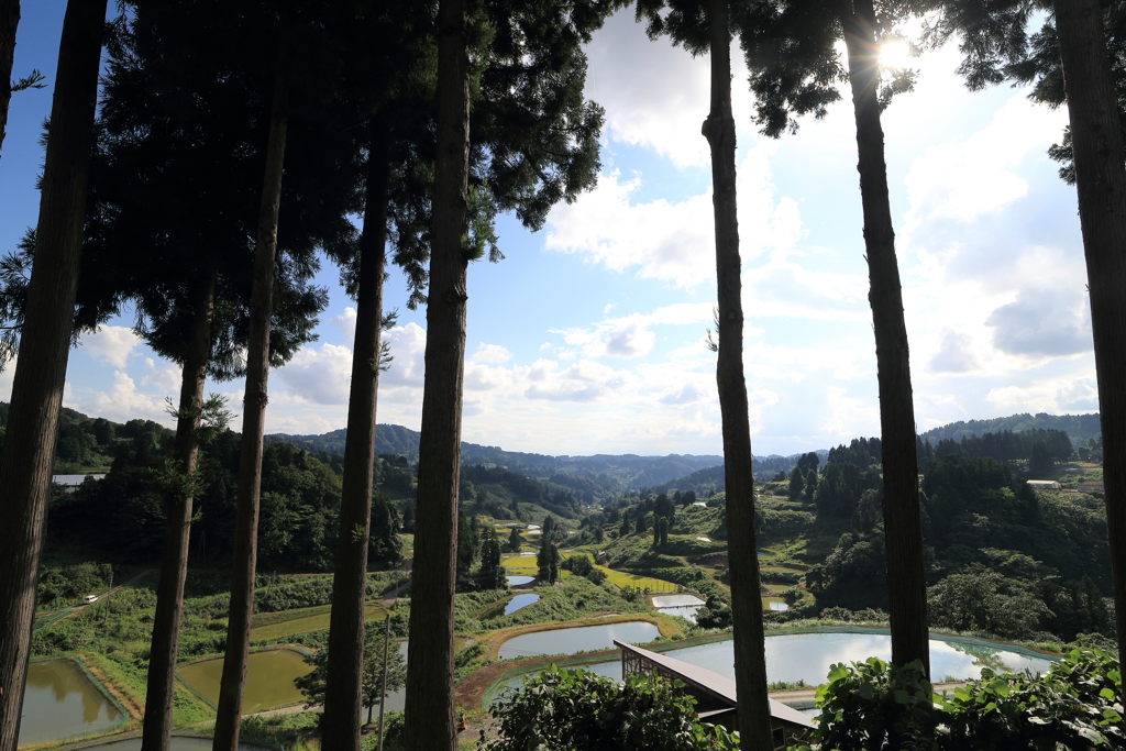 【長岡　山古志】杉門からの眺望