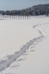 はさ木へと続く道（小千谷）