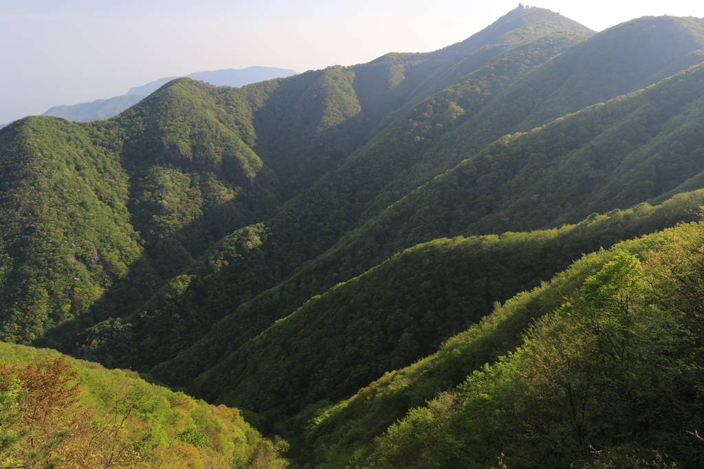 早朝の尾根（弥彦山山頂）