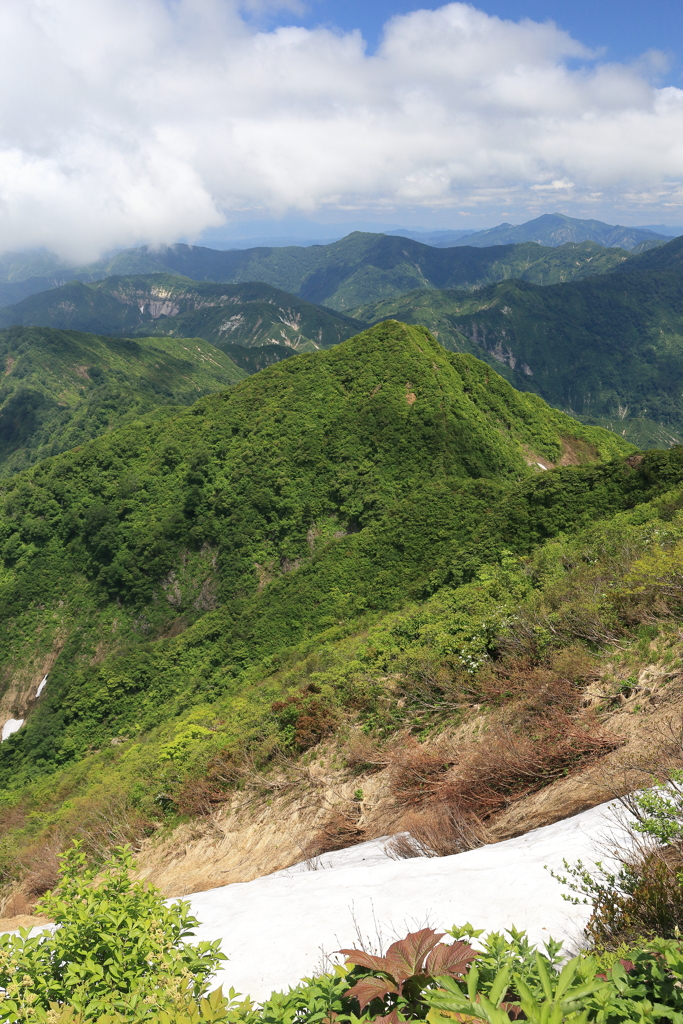 【登山日誌:粟ヶ岳170617】初夏の冠雪