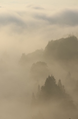 幻想の雲海滝（十日町　星峠の棚田）