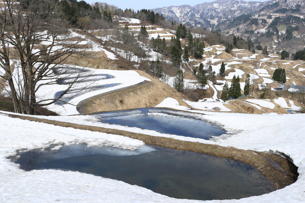 ようやく春の風が…（山古志）